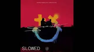 Martin Garrix & Carolina Liar - Smile (Slowed)