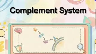 Immunology 101 | Complement system