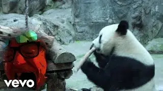 John A. Salerno - Lao Gouxiong (Old Bear)