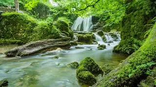 Calm Woodland Stream with Beautiful Birdsong, Relax and Unwind, ASMR
