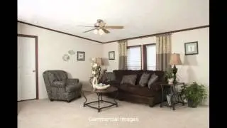 Ceiling Fan for Living Room