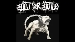 Built For Battle - 8 - Killing The Dream - Upstate Saturday Night