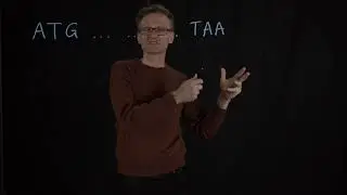 Lecture 11, concept 08: From DNA to proteins - open reading frames