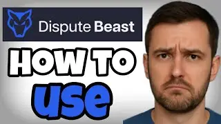 Как использовать Dispute Beast 2025 &mdash; пошаговое руководство