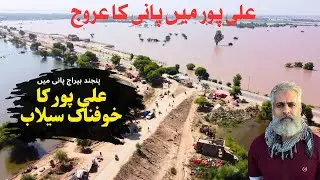 “Massive Flood in Ali Pur | Panjnad Barrage Under Water | Punjab Flood 2025”