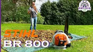 Stihl BR 800 X Magnum. 239 миль/ч. #stihl #purplecollarlife