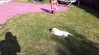 IMG 0598