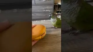 Oh boy I hope this is evil burger #meme #funny #memes