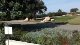 Aphrodite Hills - Hestiades Greens