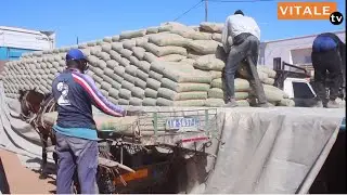 50 Tonnes De Ciment Offerts Par Abdallah Tall Aux Mosquée En Construction