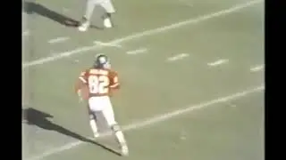 Dolbin Catch