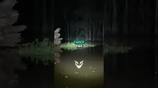 Mysterious Church Bells Ring in ABANDONED Swamp at 3AM! #shorts