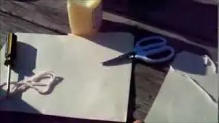 Basic White Fly Trap