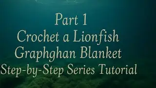 Part 1 | Lionfish Graphghan Crochet Blanket | Step-by-Step Beginner Setup
