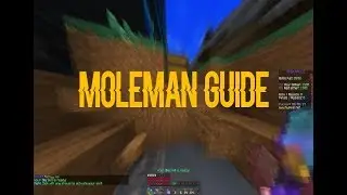 Mega Walls Moleman Guide