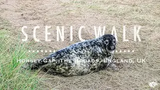 Horsey Gap | The Broads National Park | England | UK【SCENIC WALK】