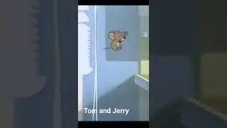 Tom And Jerry - Little School Mouse # tom and jerry #mousetrap #tomandjerry  #jerryboy