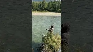 Upstream Fly Fishing Challenge 🎣 Almost Lost My Balance!