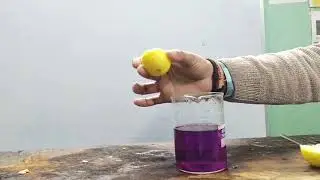 POTASSIUM PERMANGANATE AND LEMON EXPERIMENT // COLOUR CHANGING EXPERIMENT