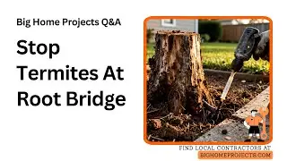 Termite Stump Root Bridge Treatment Guide