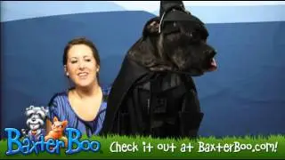 Darth Vader Dog Halloween Costume