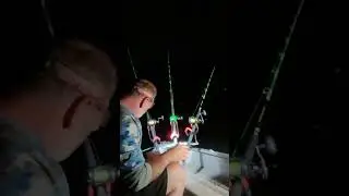 Channel cats are SHALLOW!
