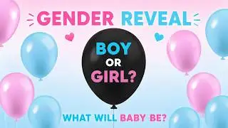 Gender Reveal Video, It's a Girl!, Gender Reveal Video Display #genderreveal #genderevealparty