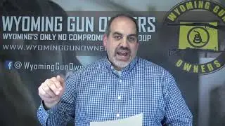 Can We Stop Gun Control Via Multi State Compacts?