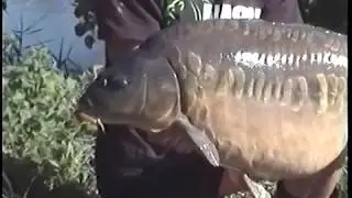 Meta Mera bottenmete - Mete efter karp