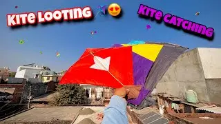 Kite Looting 🪁 | Kite Catching | Kite Flying | Kite Patang | Kite Looting On Rooftop | kite ki Video