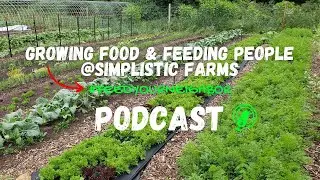 Growing Food & Feeding People Podcast(Audio Only) - Companion Planting Gone WRONG!