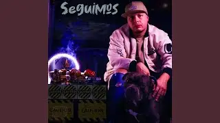 Seguimos