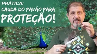 T&eacute;cnica de Prote&ccedil;&atilde;o - Cauda do Pav&atilde;o | Xamanismo em Voc&ecirc; 271