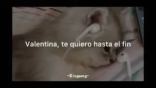 18 de noviembre de 2025