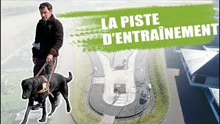 Chiens Guides d'Aveugles de l'Ouest : la piste d'entraînement 🦮