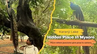 Karanji Lake Mysore | Hidden Place In Mysore | peacocks ,boating ,birds