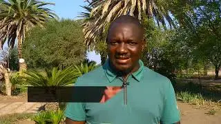 Returning the dignity of African Traditional Healing Systems.