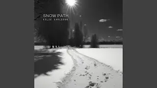 Snow Path
