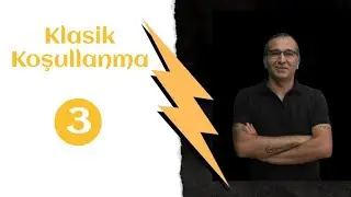 Klasik (Tepkisel) Koşullanmanın İlkeleri - II