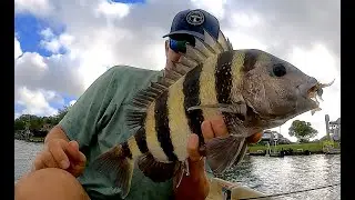 Pitching Docks w/ Vudu Shrimp | Rio Grande Valley Texas