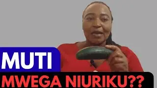 MUTI TO MUTI, NO WITAGWO MUTI TONDU NIURI MAWEGA MAGUO
