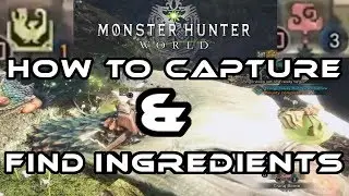 Monster Hunter World I How To Capture Monsters & Find Capture Ingredients (Tranq Bomb / Shock Trap)