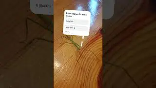 badyl czy giga chad