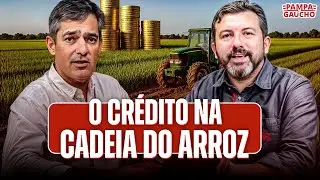 Cr&eacute;dito RURAL na cadeia do ARROZ. Mercado da Semana.