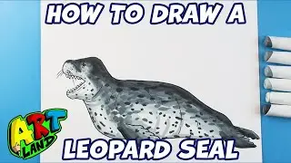How to Draw a Leopard Seal