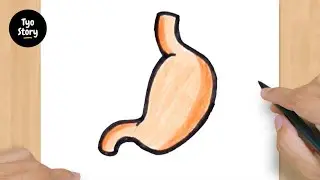 #393 How to Draw a Stomach - Easy Drawing Tutorial