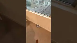 New Builds flood by design?