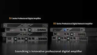 Soundking Innovative Professional Digital Amplifier