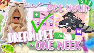 How To Get Your DREAM PET in 1 WEEK in Adopt Me! (Roblox) | AstroVV