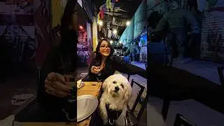 conoce la ex f&aacute;brica de harina en la CDMX #viajes